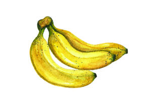 Bunch of Bananas - Watercolor Style for Food Amp