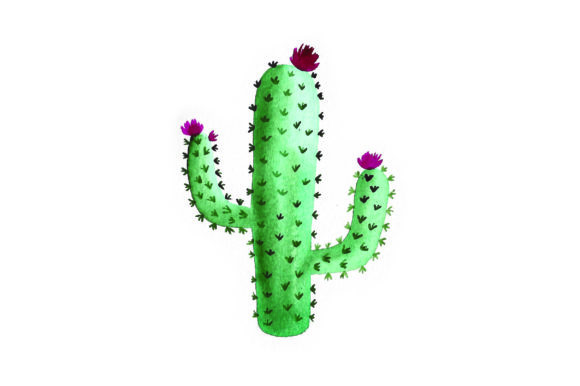 Cactus Watercolor Mexico Art Review