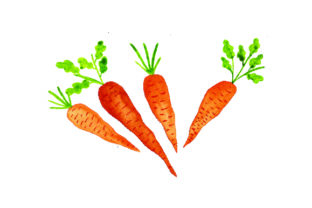Carrots Watercolor: A Thanksgiving Craft Review