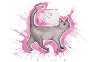 Cat in Paint Splatter Watercolor Style Animals