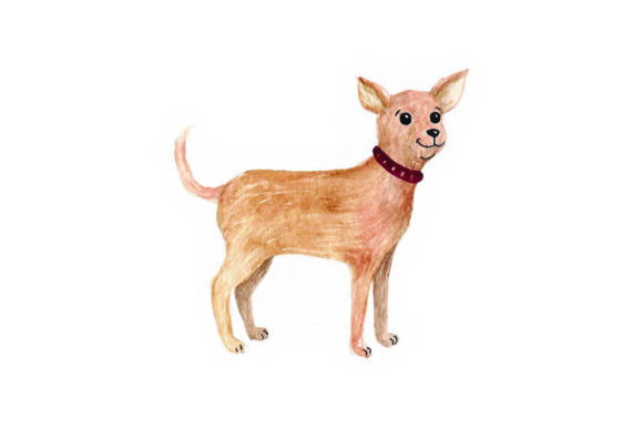 Chihuahua Watercolor: A Designer's Review for Dogs