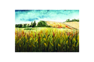 Corn Field Watercolor Style: Farm Amp Review