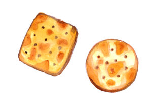 Crackers in Watercolor Style: Food Amp Review