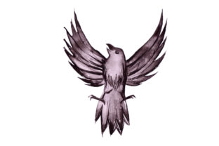 Crow in Watercolor: A Designer's Practical Review