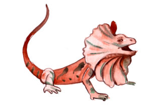 Frill Neck Lizard in Watercolor Style: An Australia Brand Review