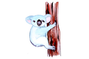Koala in Watercolor Style: Australia Design Review