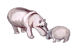 Mom and Baby Hippos in Watercolor Style: Animals