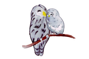 Mom and Baby Owls in Watercolor Style Animals