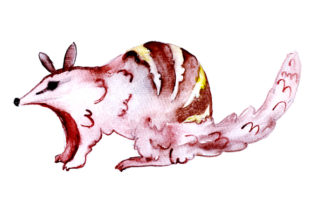 Numbat in Watercolor Style: An Australian Brand Review