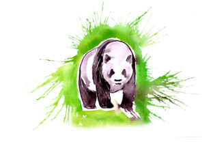 Panda in Paint Splatter Watercolor Style: Animals