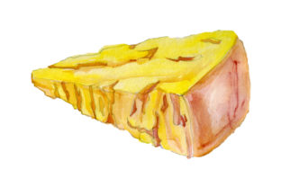 Parmigiano Reggiano Cheese in Watercolor Style Review
