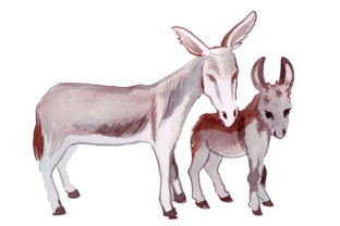 Review: Mom and Baby Donkeys in Watercolor Style