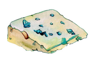 Roquefort Cheese in Watercolor Style: A Food Amp Review