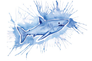 Shark in Paint Splatter Watercolor Style for Animals