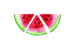 Sliced Watermelon - Watercolor Style Review