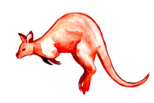 Wallaby in Watercolor Style: Australia Branding