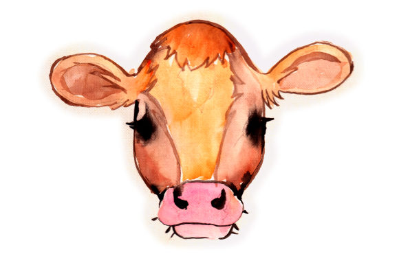 Watercolor Cow: A Farm Amp Design Review