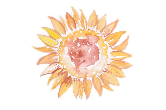 Watercolor Design Sunflower by Designs Amp Review