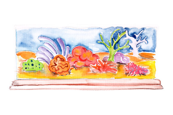 Watercolor Fish Tank with Reef Decoration Review