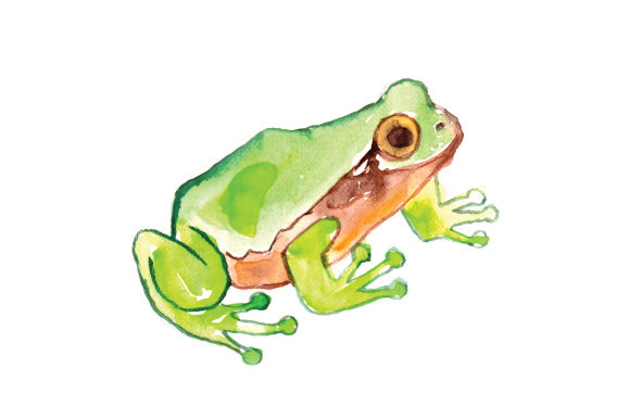 Watercolor Frog: A Fresh Animals Design for Crafters