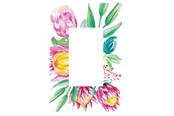 Watercolor Proteas Frame: A Designer Review