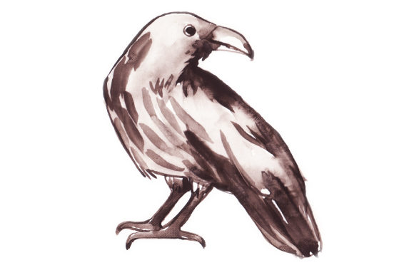 Watercolor Raven Standing: Animals Design Review