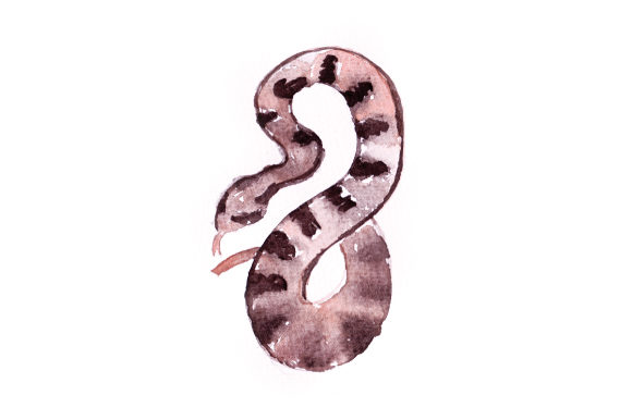 Watercolor Snake: A Crafty Review for Animals Lovers