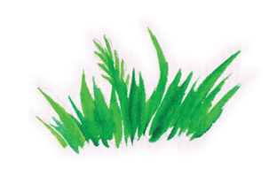Watercolour Grass Patch: Spring Branding