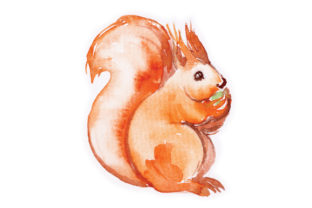 Watercolour Squirrel: A Spring Design Asset Review