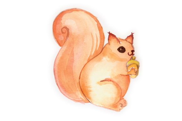 Woodland Animal Watercolor Squirrel Review